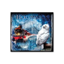 Egan Tela "EDVIGE": Quadro Gufo Harry Potter e Hogwarts Express, 70x70 cm