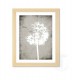 TOMASUCCI QUADRO "MAKE A WISH"