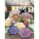 BRANDANI CIOTOLA FLORA PINK IN RESINA 26X8 CM